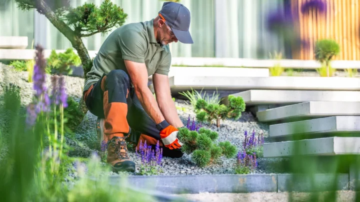 Low-Maintenance Garden Ideas for Busy Homeowners