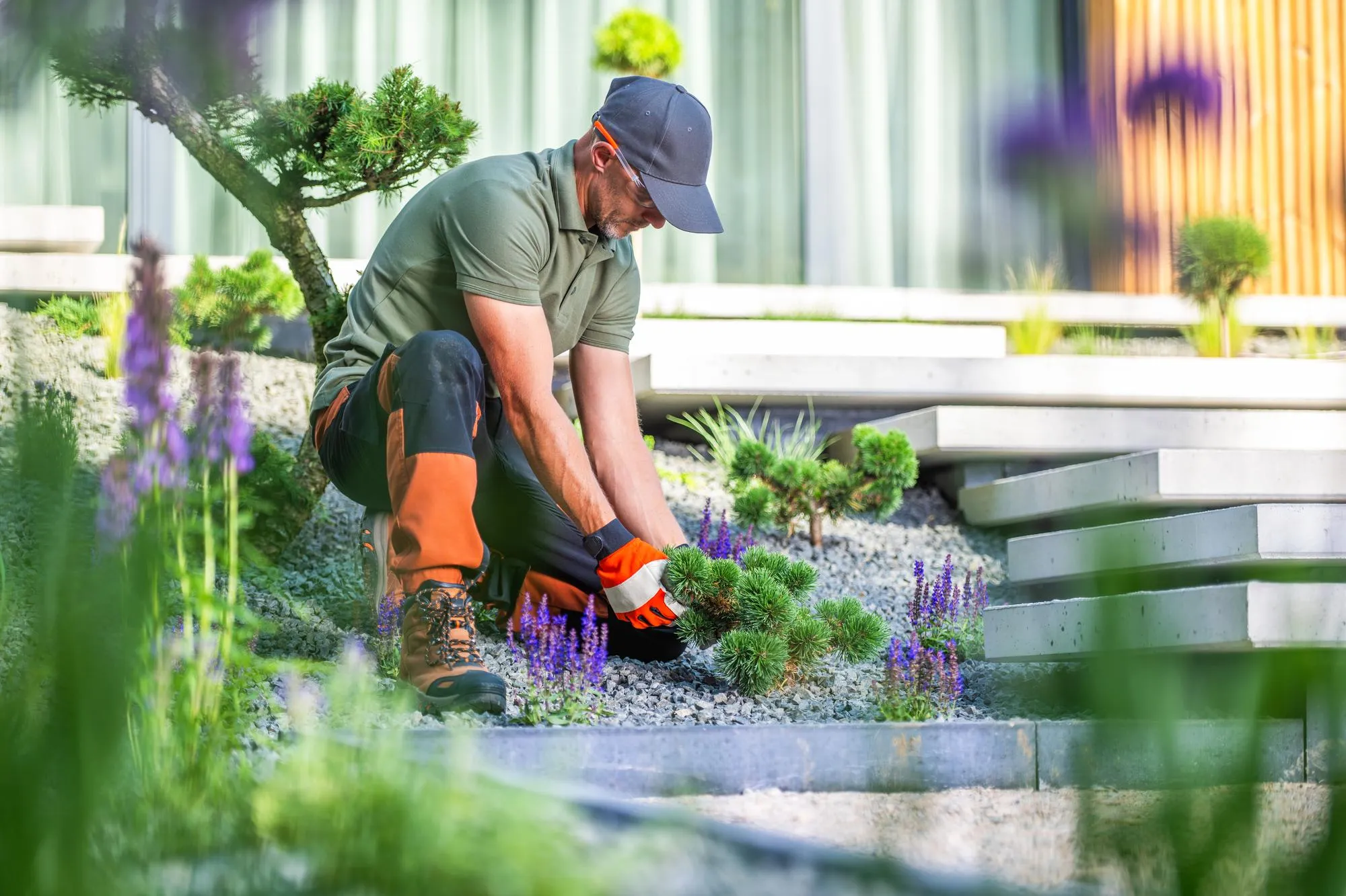 Low-Maintenance Garden Ideas for Busy Homeowners